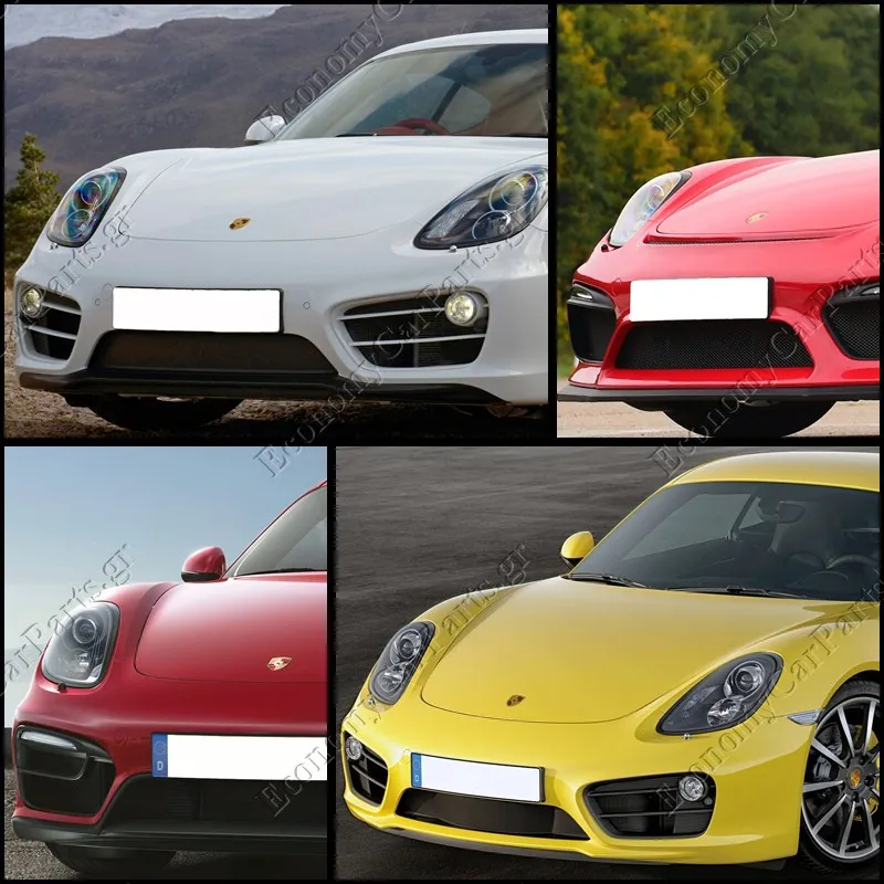 CAYMAN (981C) 2013-2016