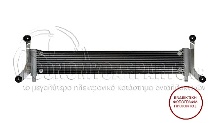 ΨΥΓΕΙΟ ΝΕΡΟΥ ΒΟΗΘΗΤΙΚΟ (ΓΙΑ ΕΚΔΟΣΕΙΣ: 3.0-5.0 TDi ΠΕΤΡΕΛΑΙΟ) (ΔΙΑΣΤΑΣΕΙΣ ΚΥΨΕΛΗΣ: 690x100x14)