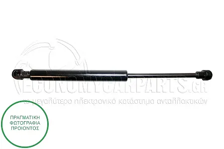 ΑΜΟΡΤΙΣΕΡ ΜΠΑΓΚΑΖ (300L-460N)