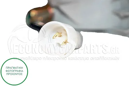 ΦΛΑΣ ΠΡΟΦΥΛΑΚΤΗΡΑ ΕΜΠΡΟΣ