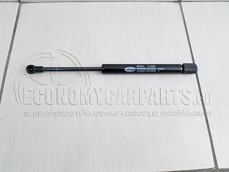 ΑΜΟΡΤΙΣΕΡ ΜΠΑΓΚΑΖ (MARELLI)