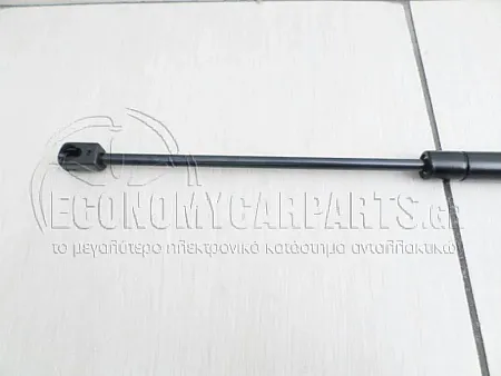 ΑΜΟΡΤΙΣΕΡ ΜΠΑΓΚAΖ (MARELLI)