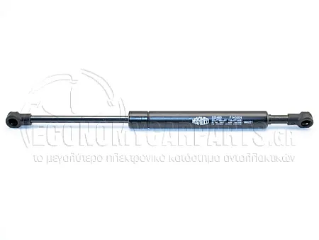 ΑΜΟΡΤΙΣΕΡ ΜΠΑΓΚΑΖ (MARELLI)