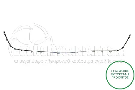 ΔΙΑΚΟΣΜΗΤΙΚΟ ΧΡΩΜΙΟ ΔΙΧΤΥΟΥ ΠΡΟΦΥΛΑΚΤΗΡΑ ΕΜΠΡΟΣ