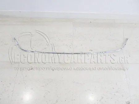 ΧΡΩΜΙΟ ΔΙΧΤΥΟΥ ΠΡΟΦΥΛΑΚΤΗΡΑ ΕΜΠΡΟΣ