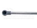 FORD FOCUS (DBW/DFW/DNW) 1998-2004   (   4 ) (MARELLI)