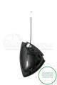 SMART FORTWO (450) 1998-2007    