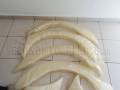 NISSAN NAVARA PICK-UP 2WD-4WD (D22) 2001-2005    (4)
