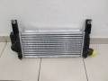 NISSAN NAVARA PICK-UP 2WD-4WD (D40) 2005-2010  INTERCOOLER 2,5 DCI (44,3*19*64)