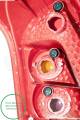 SUZUKI SWIFT (EZ/MZ) 2006-2011    2008-2011
