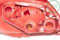 PEUGEOT 307 (3A/3B/3C/3E) 2001-2005  