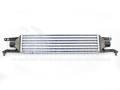 FIAT PUNTO EVO (199) 2009-2012  INTERCOOLER 1,3 JTD-JTDM(45*100*53)90H