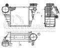 SEAT LEON 1999-2005  INTERCOOLER ( : 1.9TDI) ( : 18.3x18.9x8.5cm) (  : ASZ)