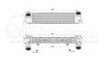 BMW  1 (F20/F21) 2015-2019  INTERCOOLER (  1.4-1.6-1.8-2.0 ) ( : 49.5x13.3x8cm)