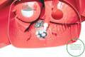PEUGEOT 206+ (2L/2M) 2009-2013  
