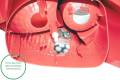 PEUGEOT 206+ (2L/2M) 2009-2013  