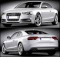 AUDI S5 COUPE 2 (8T3) 2012-2016