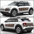 CITROEN C4 CACTUS (0B/0P) 2014-2018