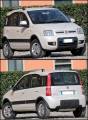 FIAT PANDA 4x4 CLIMBING 5 (169) 2009-2012