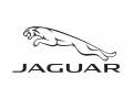 JAGUAR JAGUAR